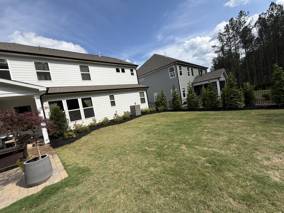 Evergreen privacy trees and freshly mulched planting beds around a backyard lawn and patio